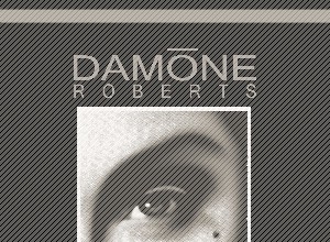 StirStudios Portfolio | Damone Roberts