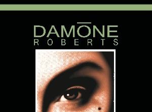 StirStudios Portfolio | Damone Roberts
