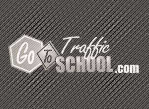 StirStudios Portfolio | Go To Traffic School