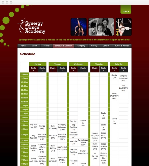 StirStudios Web Portfolio | Synergy Dance Academy